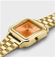 Armbanduhr Cluse Watches Dame in Stahl CW11807 - CW11807